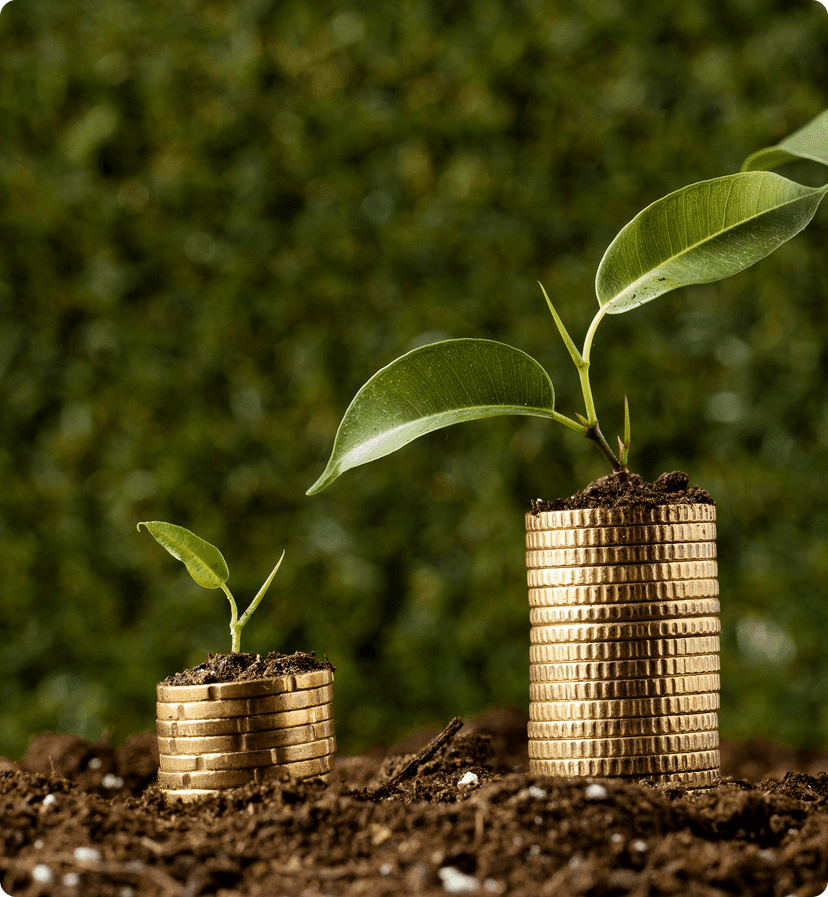 About Digital Gold & Silver